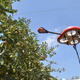Imagen para el artículo titulado Estos enjambres de drones cosechan manzanas eligiendo automáticamente las que estén maduras
